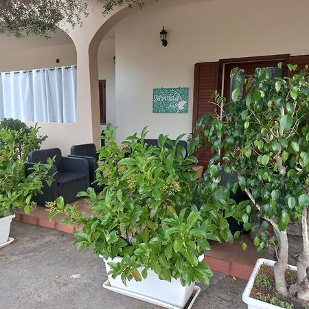 Bed and Breakfast Mivida "Le Stanze Di Ada" San Teodoro  Exterior foto